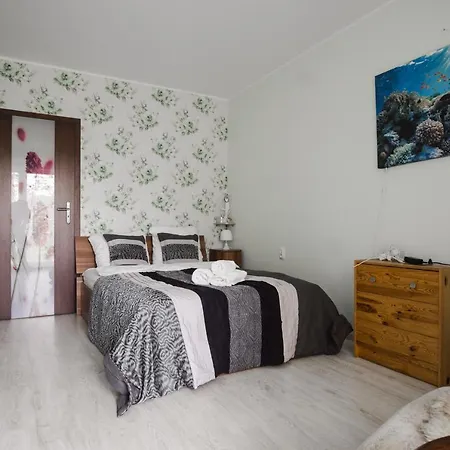 Roomsy Chopina Апартаменты